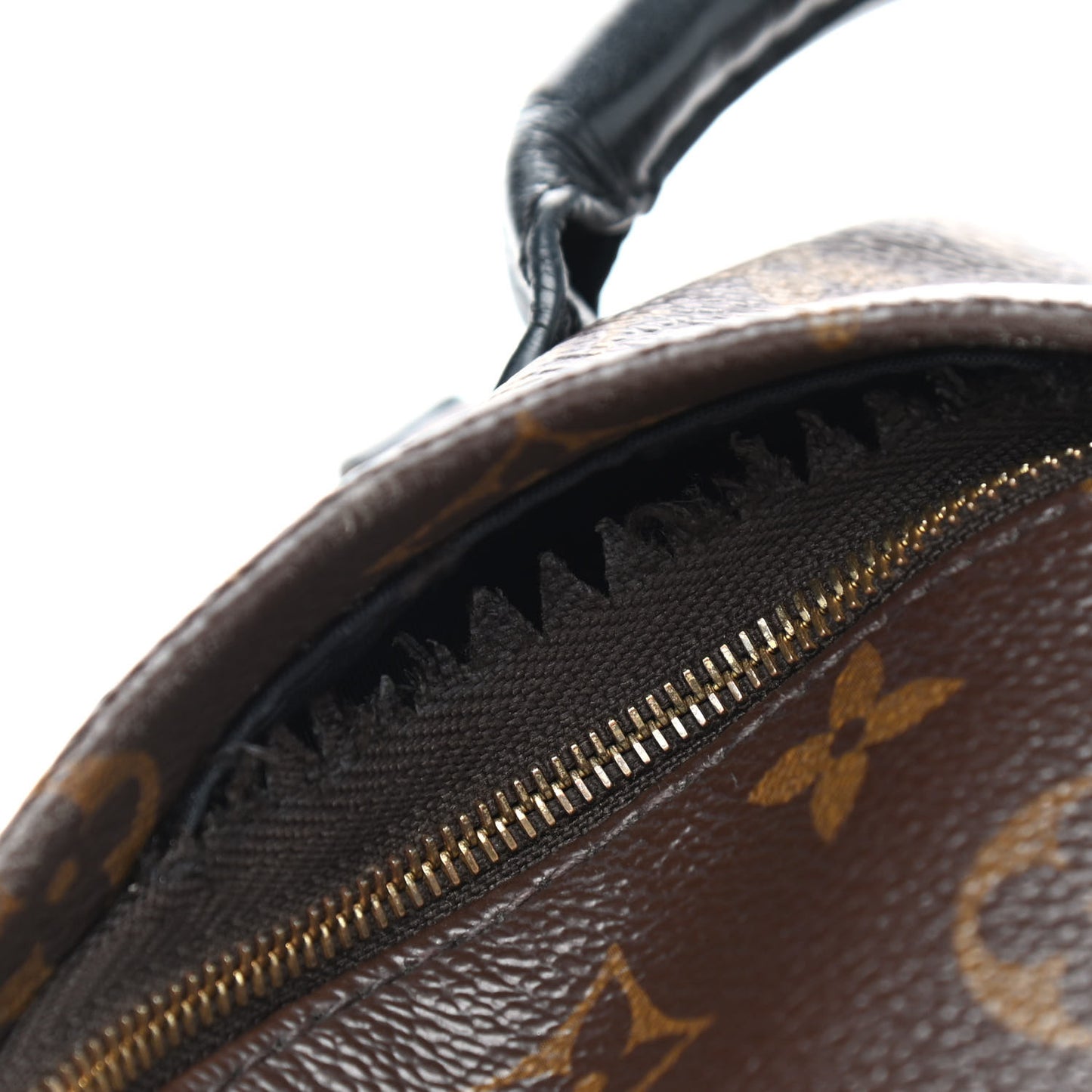 Monogram Palm Springs Backpack Mini