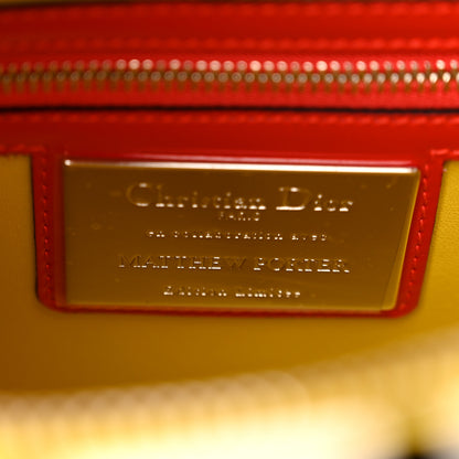 Christian Dior X MATTHEW PORTER Patent Printed Calfskin Cannage Medium Lady Multicolor 6 of 10