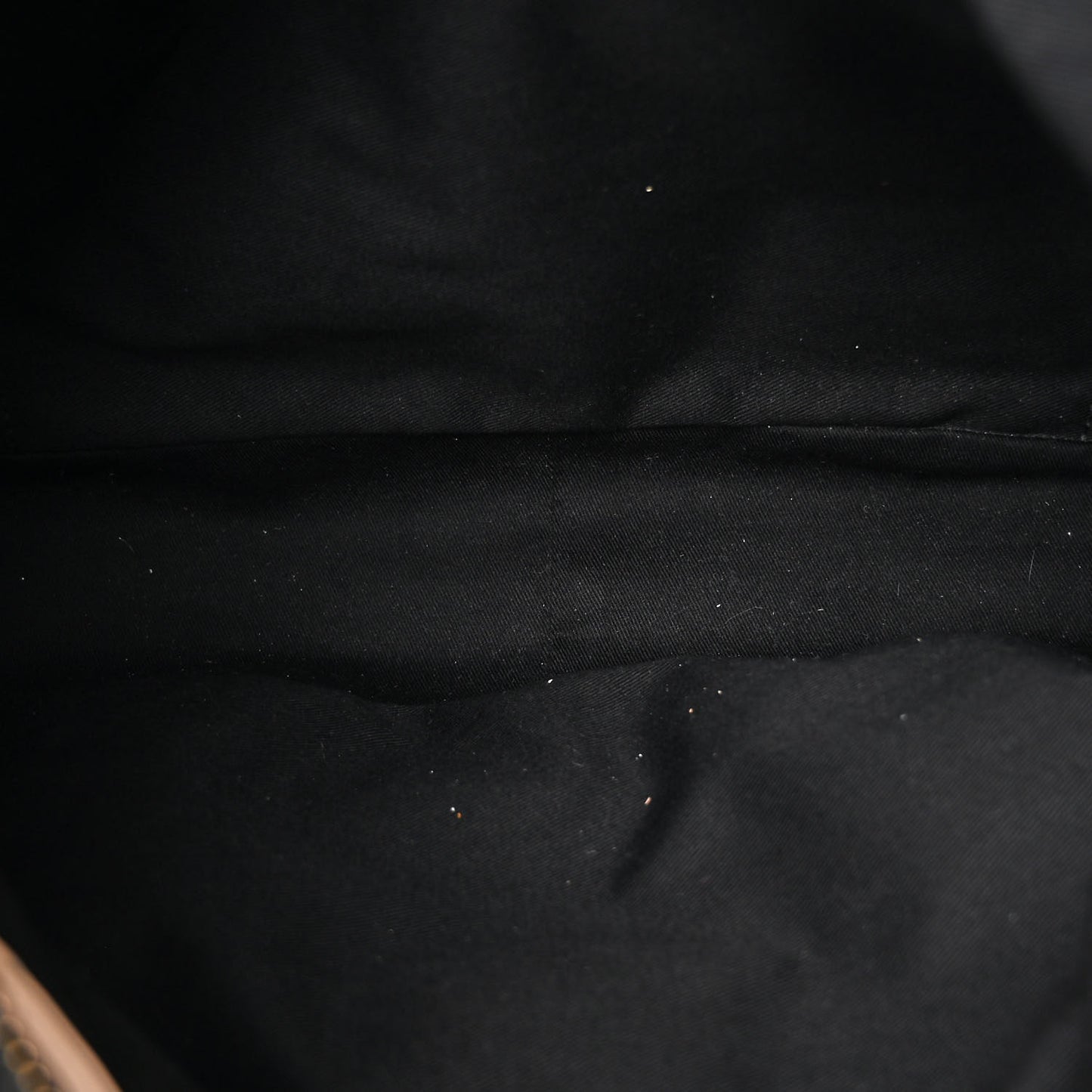 Snakeskin Large Paraty Black
