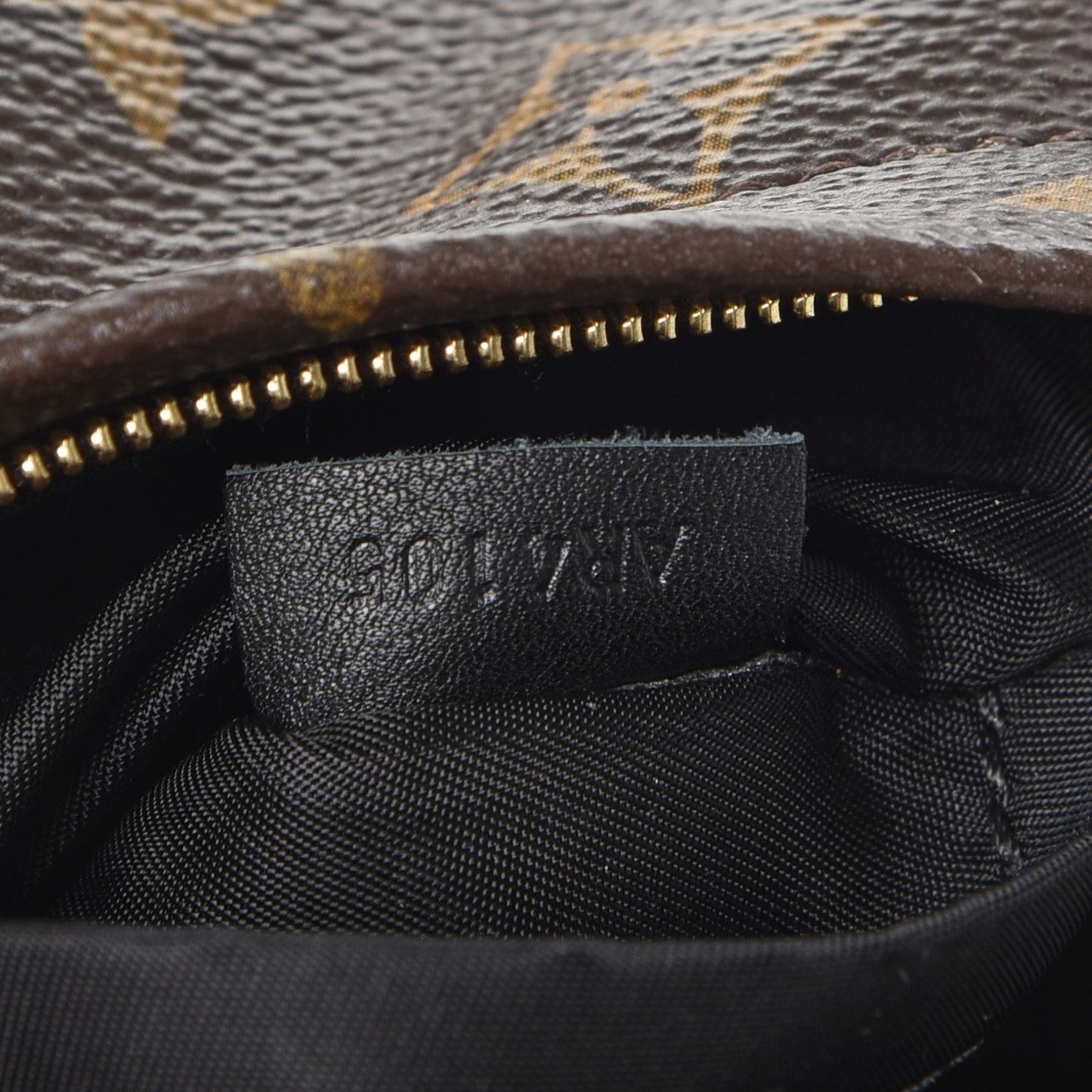 Monogram Palm Springs Backpack Mini