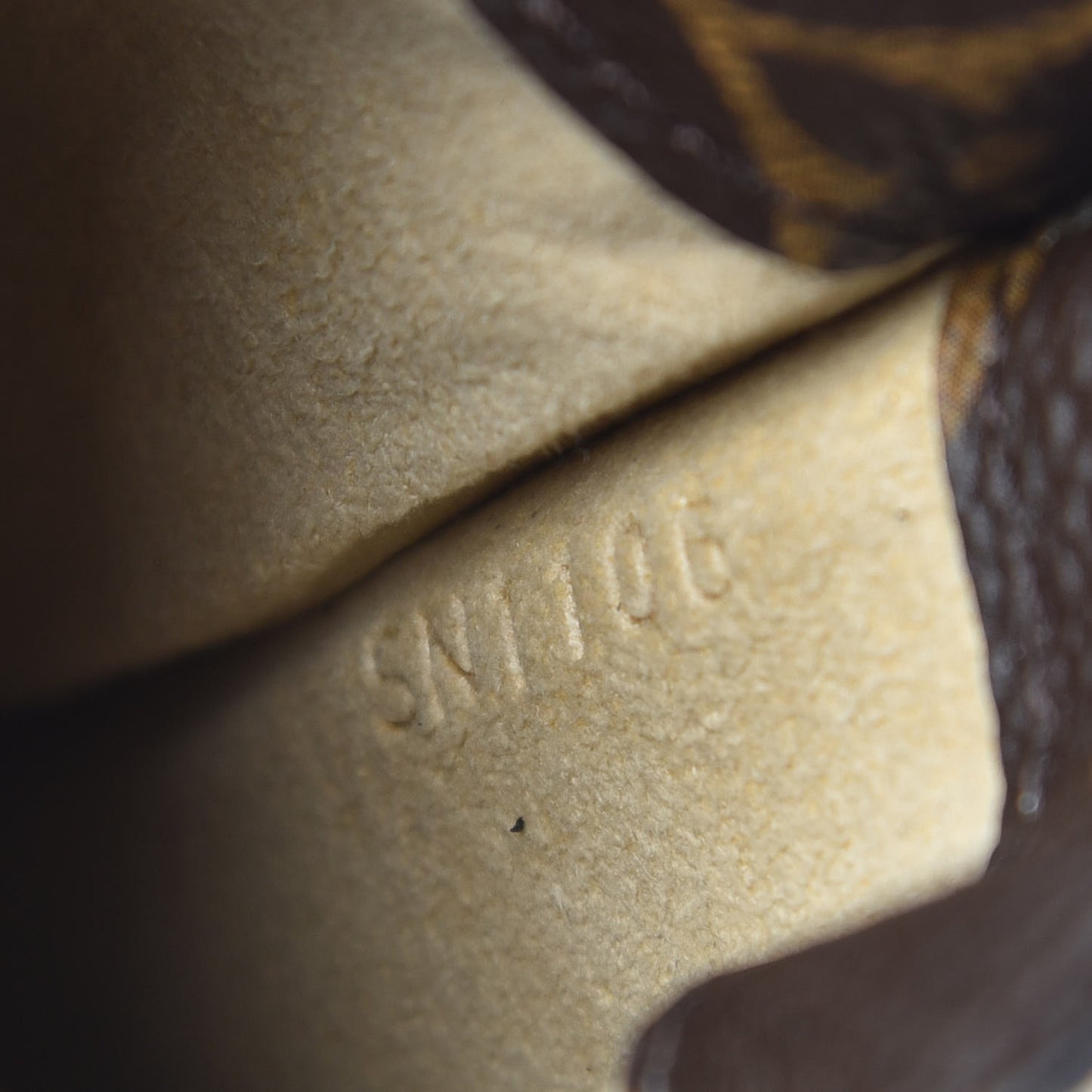 Monogram Sunglasses Case MM