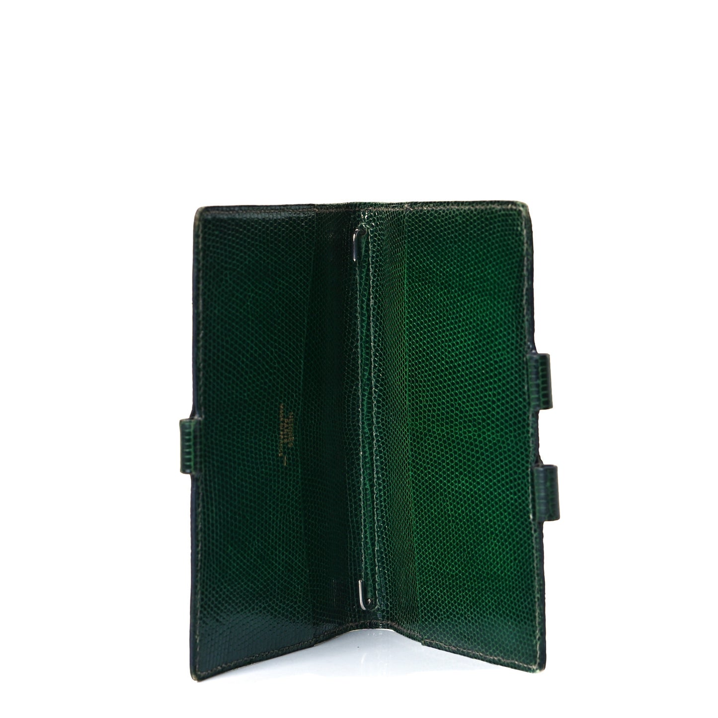 Lizard Vision Agenda Cover