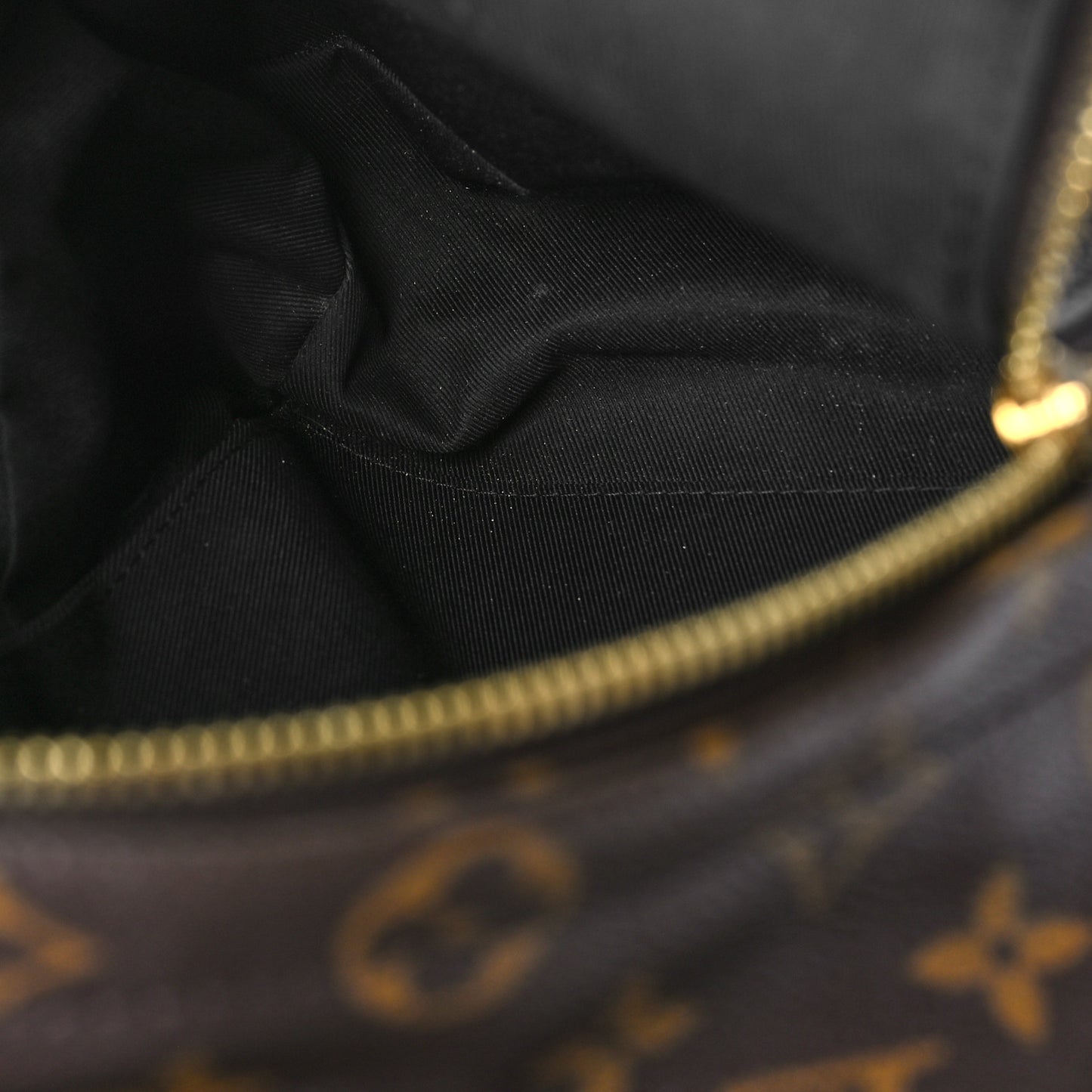 Monogram Palm Springs Backpack PM