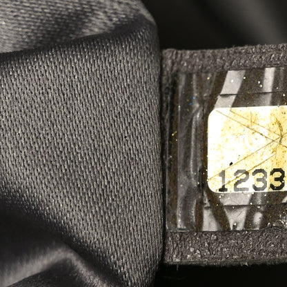 Chanel Crinkled Coated Canvas Le Marais Hobo Black 7 of 12