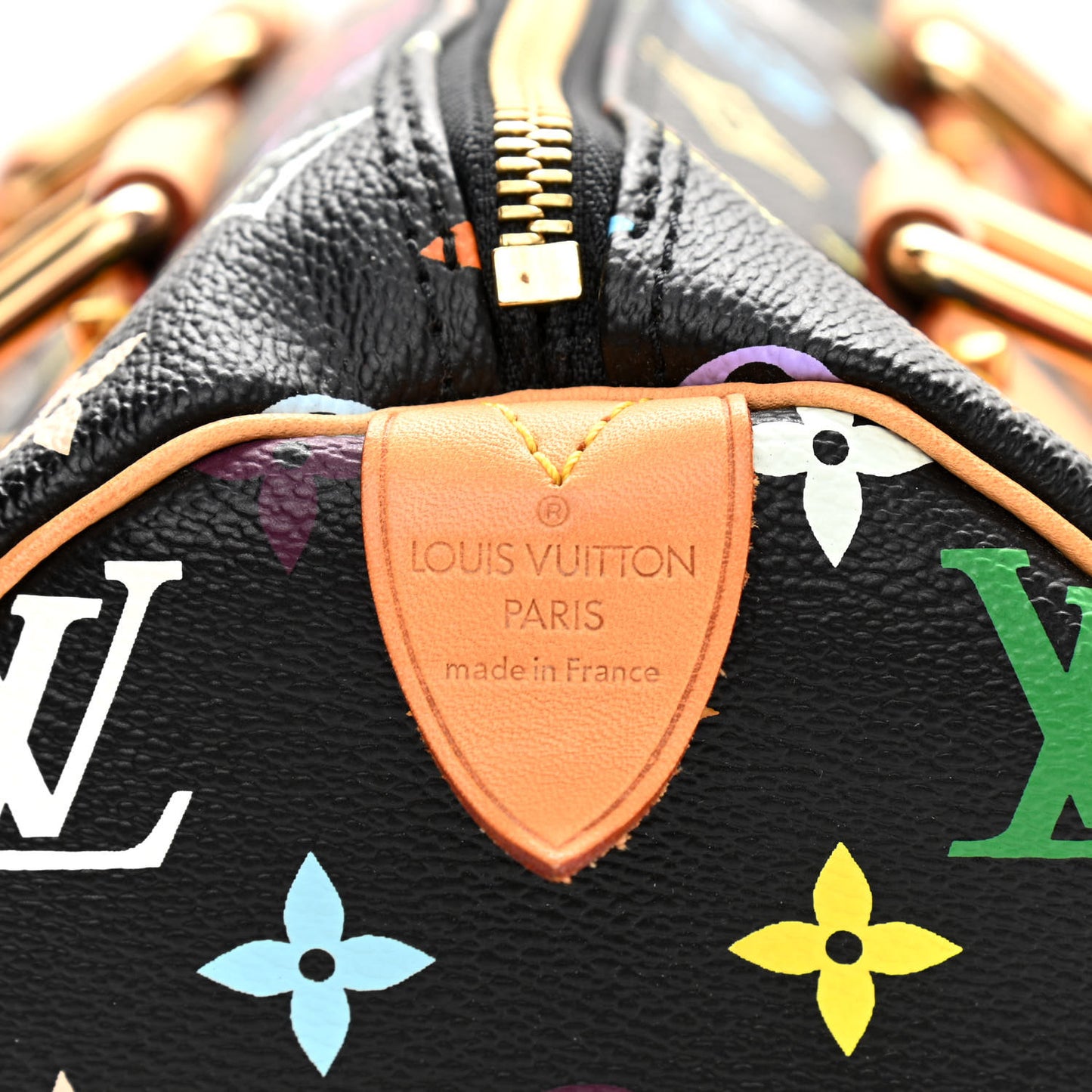 Monogram Multicolor Speedy 30 Black