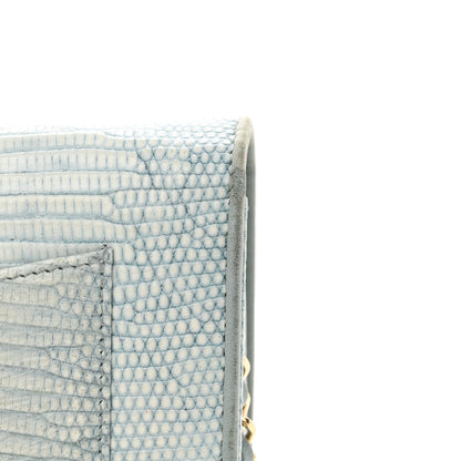 Chanel Lizard Wallet on Chain WOC Light Grey 16 of 19