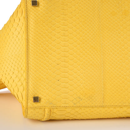Celine Python Medium Phantom Luggage Yellow 10 of 13