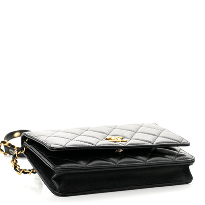 Chanel Goatskin Quilted Punk Essentials Wallet On Chain WOC Black 4 of 10