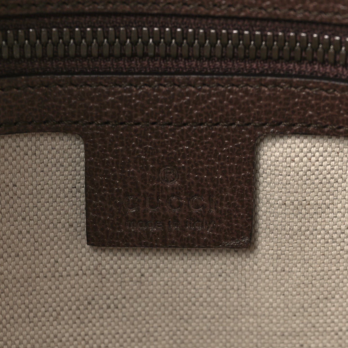 GG Supreme Monogram Web Small Ophidia Half Moon Hobo Brown
