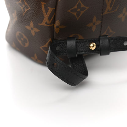 Louis Vuitton Reverse Monogram Palm Springs Backpack PM 10 of 11