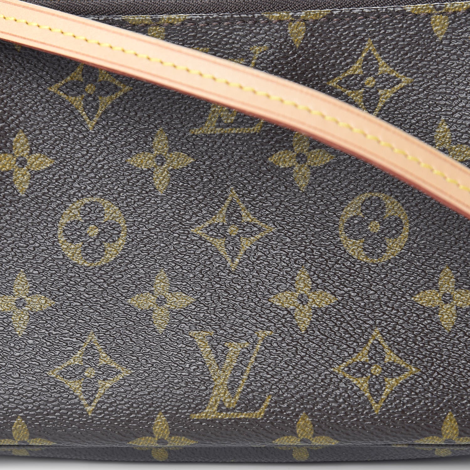 Louis Vuitton Monogram Pochette Accessories NM 10 of 10