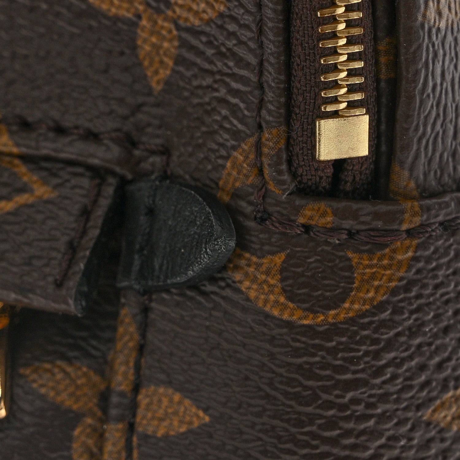 Louis Vuitton Monogram Palm Springs Backpack Mini 14 of 15
