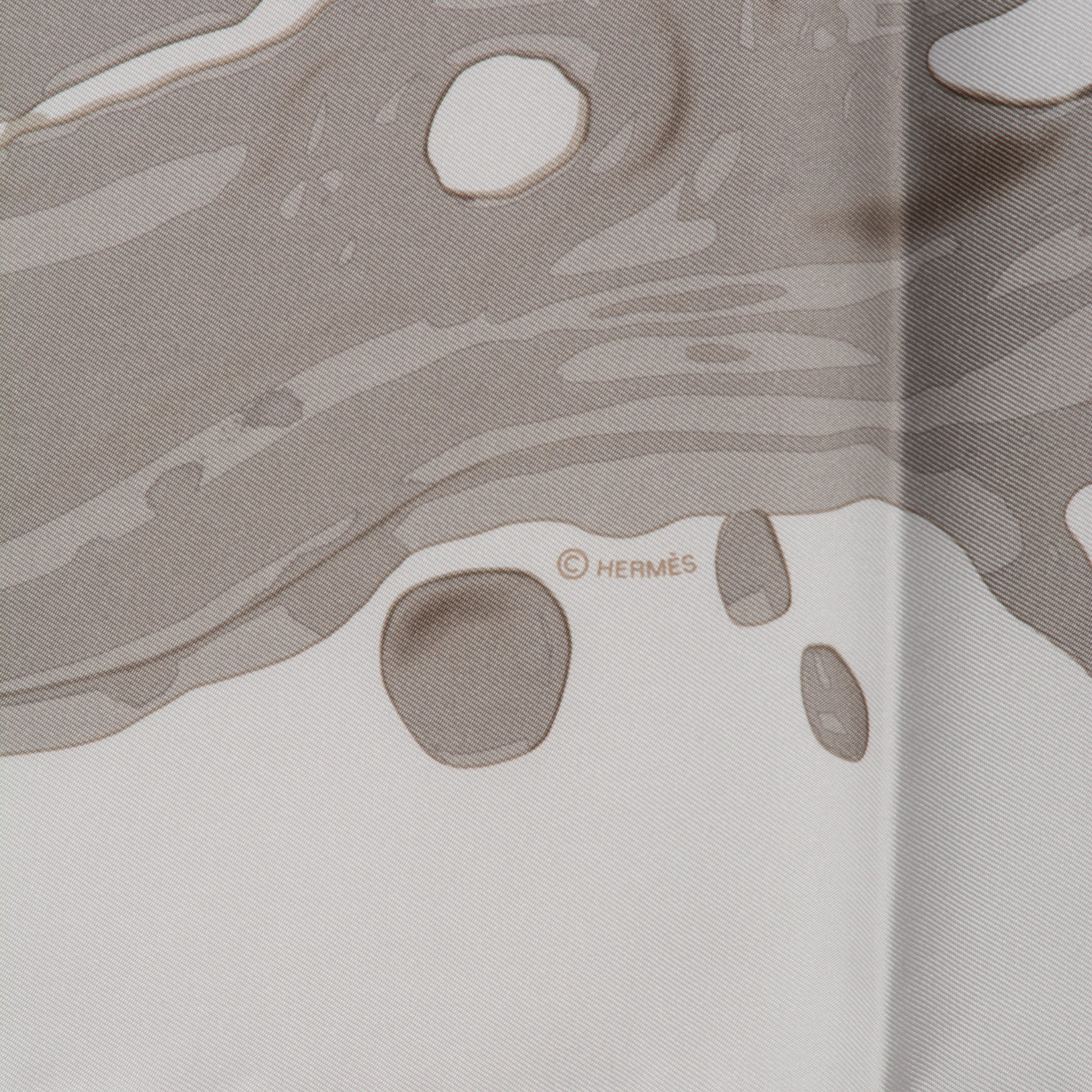 Hermes Silk Peinture Fraiche 90 White Sepia 5 of 7