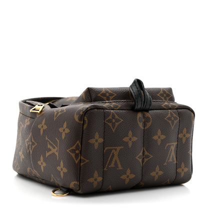 Louis Vuitton Monogram Palm Springs Backpack Mini 4 of 9