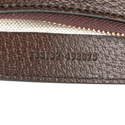 Gucci GG Supreme Monogram Textured Dollar Calfskin Web Small Ophidia GG Handbag Beige Ebony New Acero 7 of 11