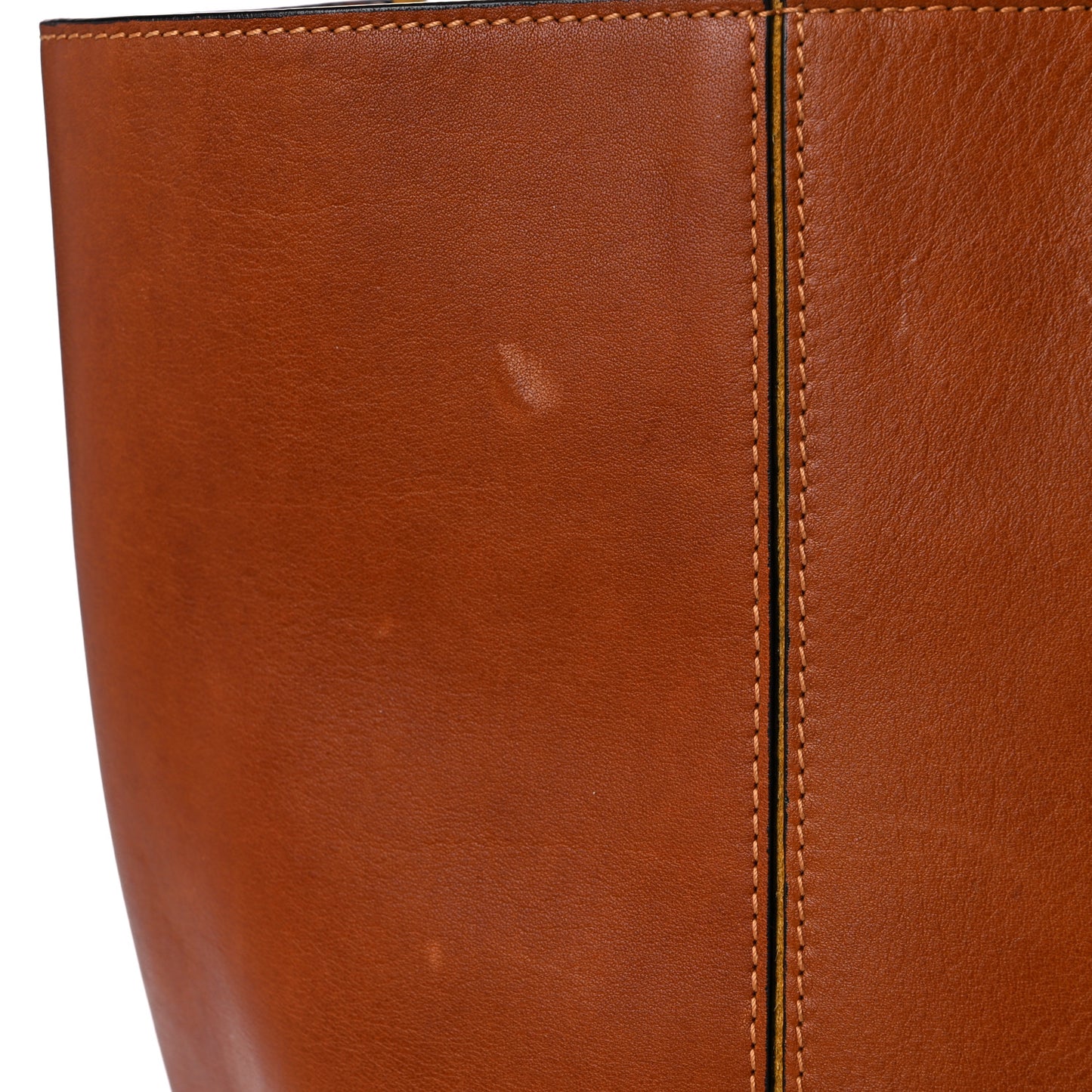 Smooth Calfskin Medium Milo Shopping Tote Caramel