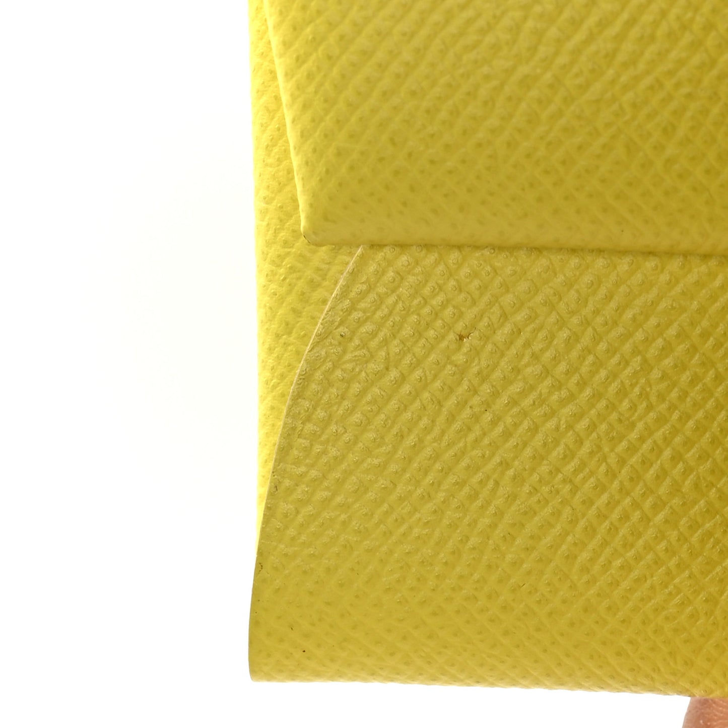 Epsom Bastia Coin Purse Lime