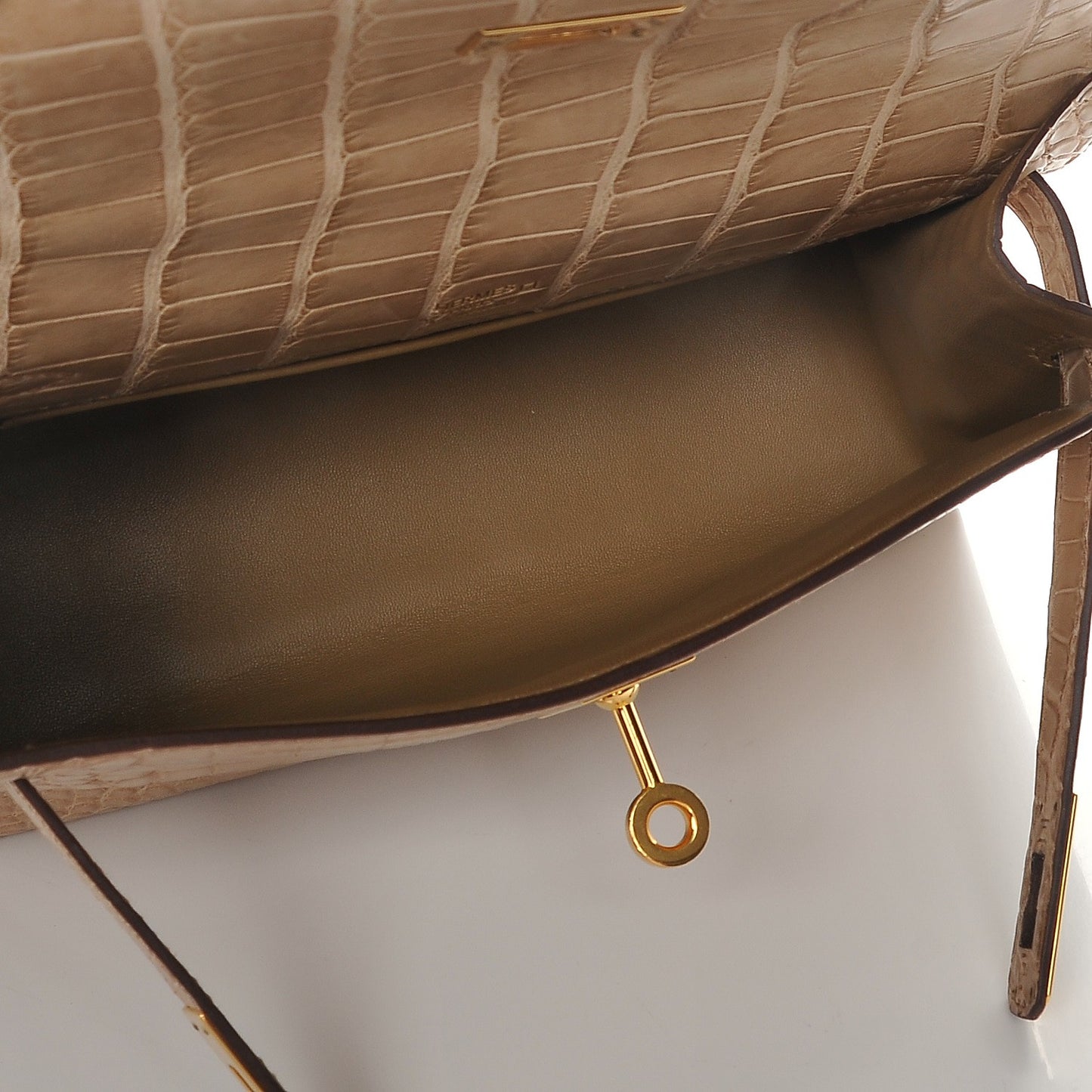 Matte Alligator Kelly Pochette Poussiere