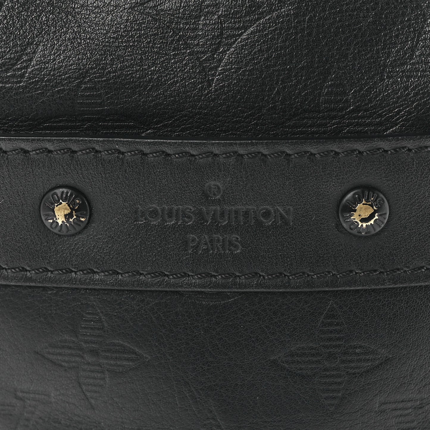 Calfskin Monogram Shadow Danube PM Black
