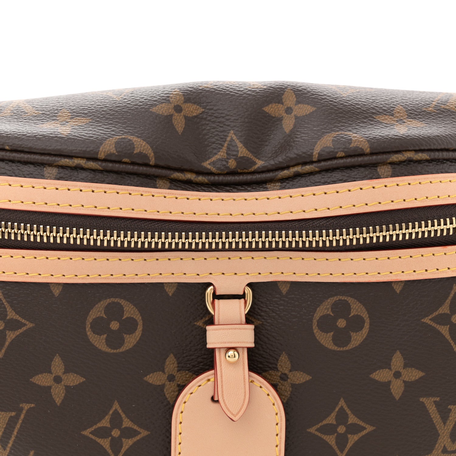 Louis Vuitton Monogram High Rise Bumbag 7 of 10