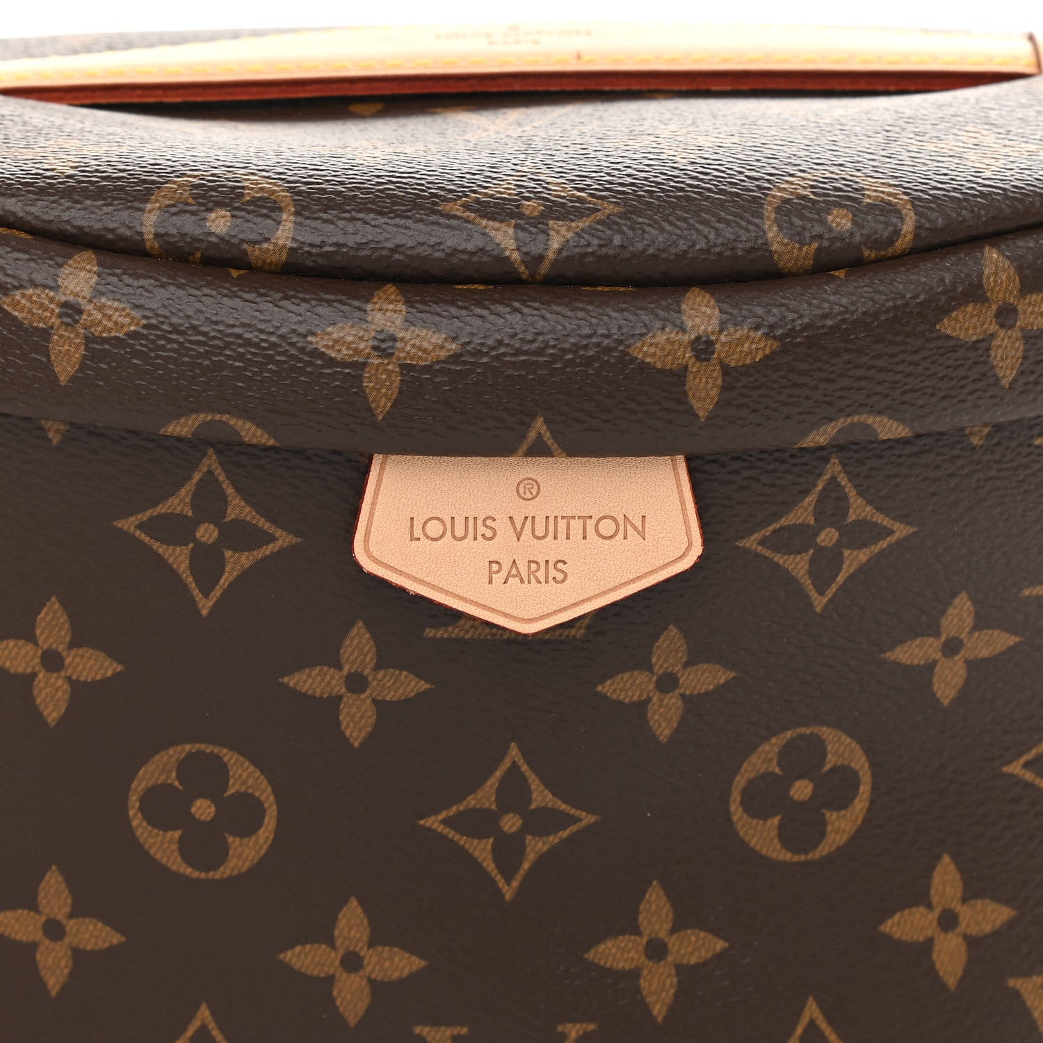 Louis Vuitton Monogram Bumbag 7 of 10