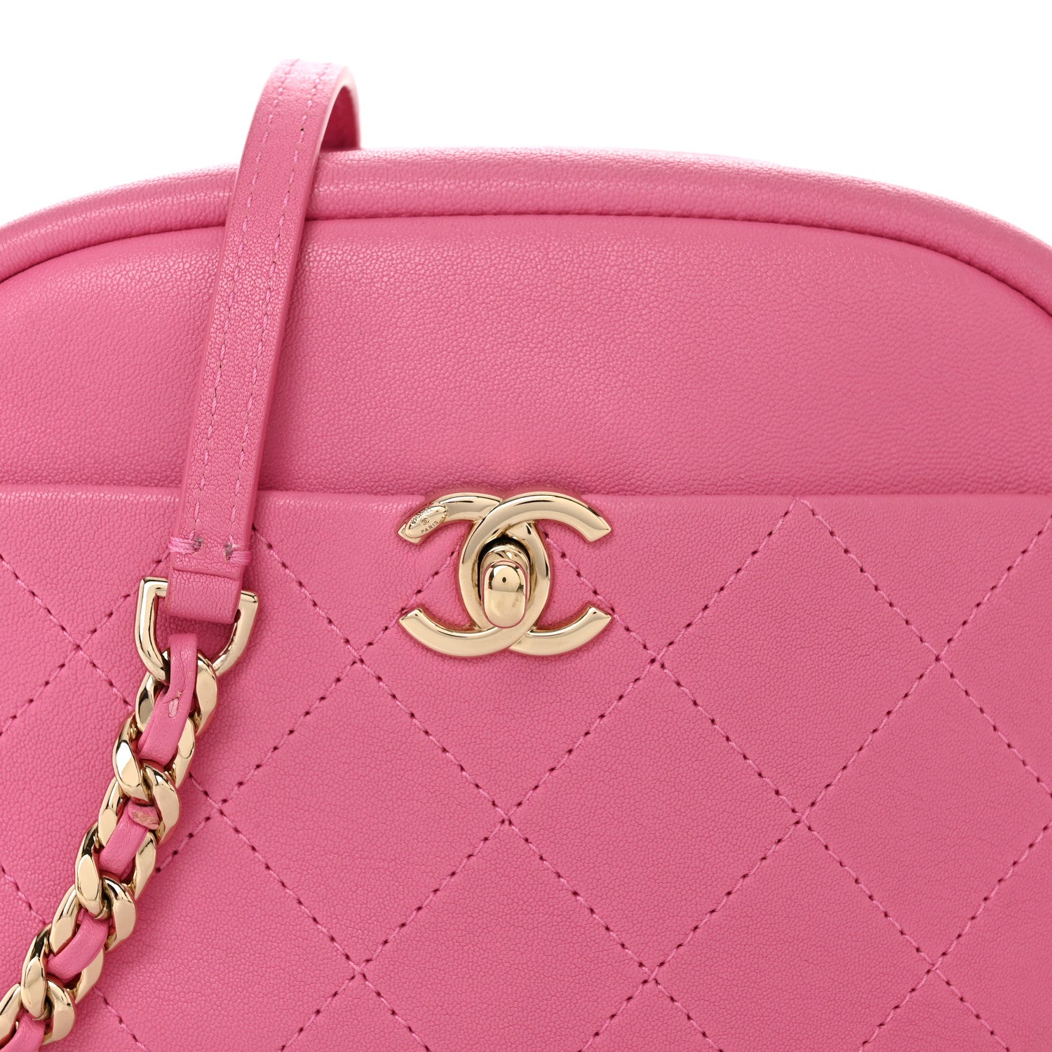 Chanel Goatskin Small Casual Trip Camera Case Pink 8 of 11