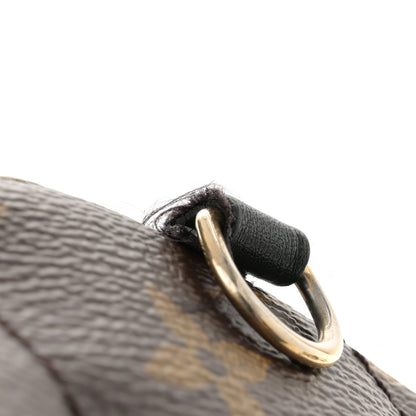 Louis Vuitton Monogram Palm Springs Backpack Mini 14 of 16