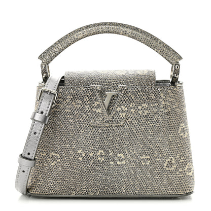 Louis Vuitton Lizard Mini Capucines Argento 1 of 16