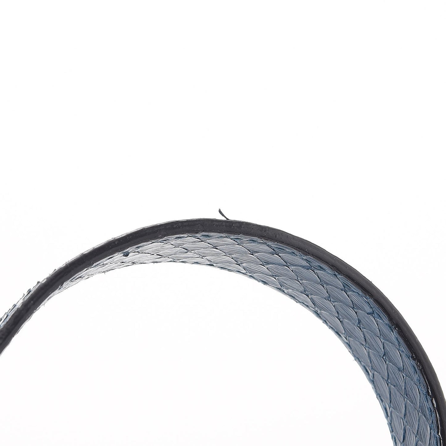 Python Mini Diorever Flap Blue