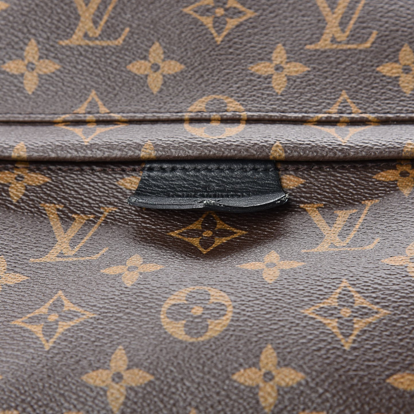 Monogram Palm Springs Backpack MM