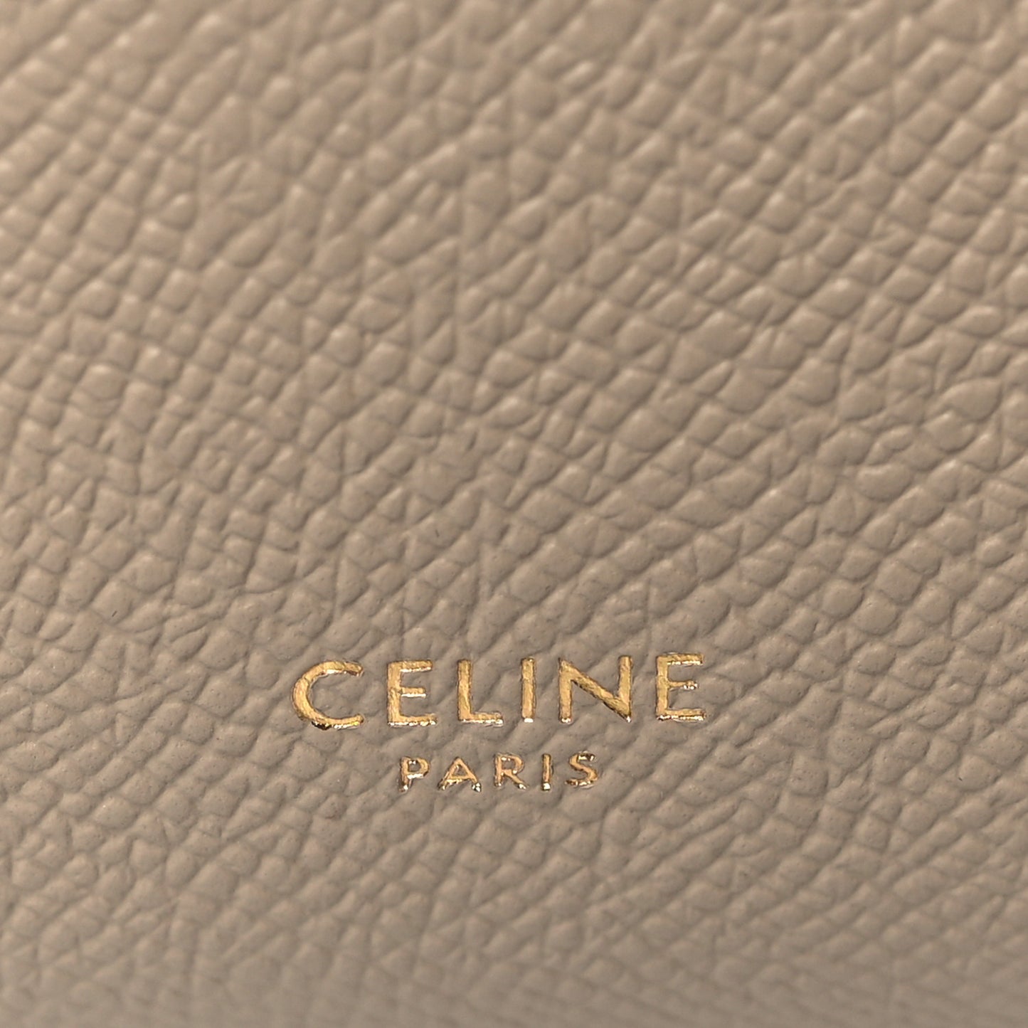 Grained Calfskin Pico Belt Bag Light Taupe