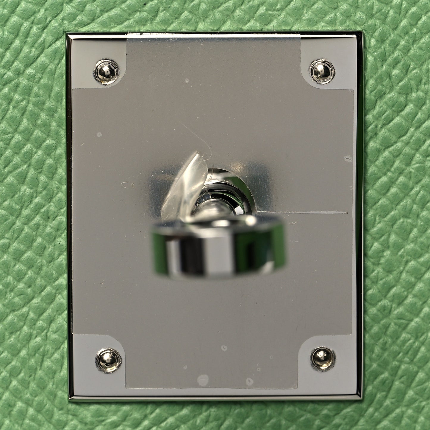 Epsom Birkin 30 Vert Criquet