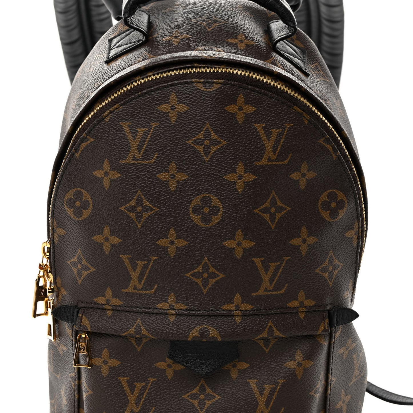 Monogram Palm Springs Backpack PM
