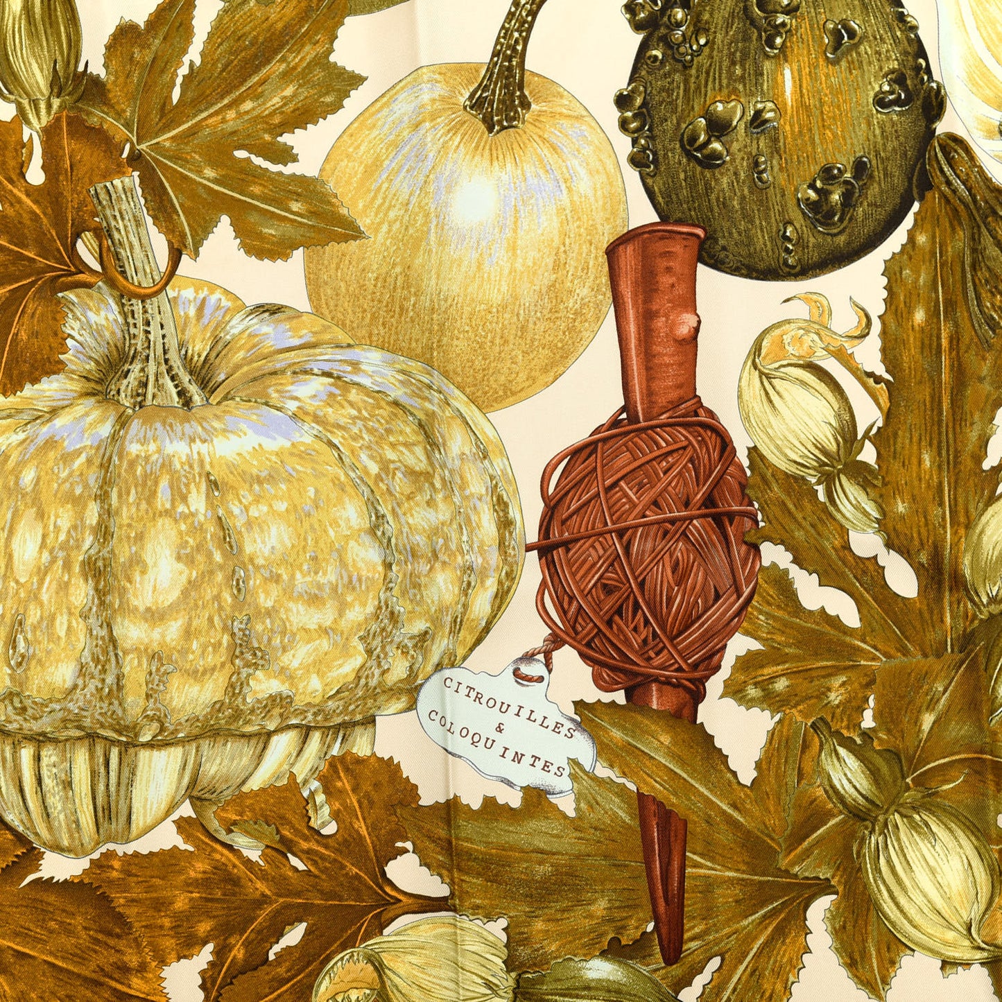 Silk Citrouilles et Coloquintes Scarf 90