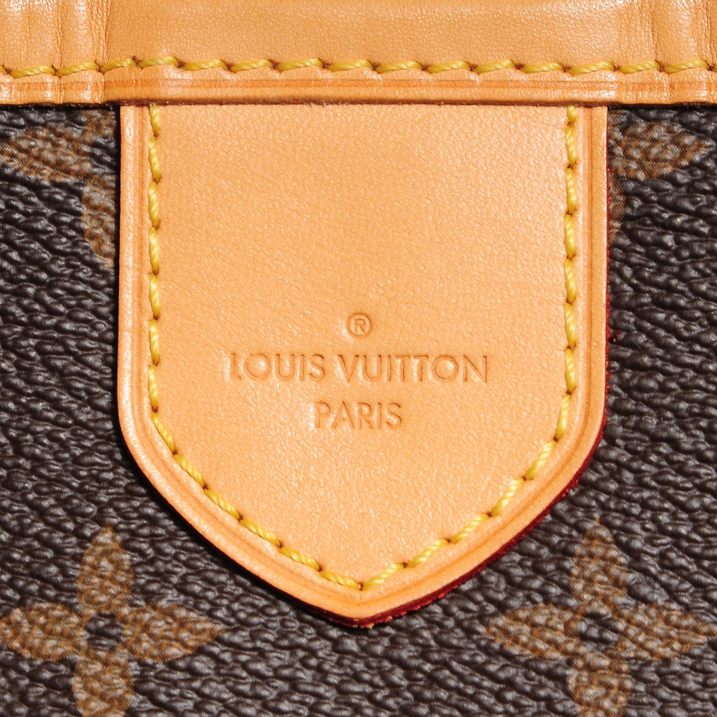 Monogram Delightful PM