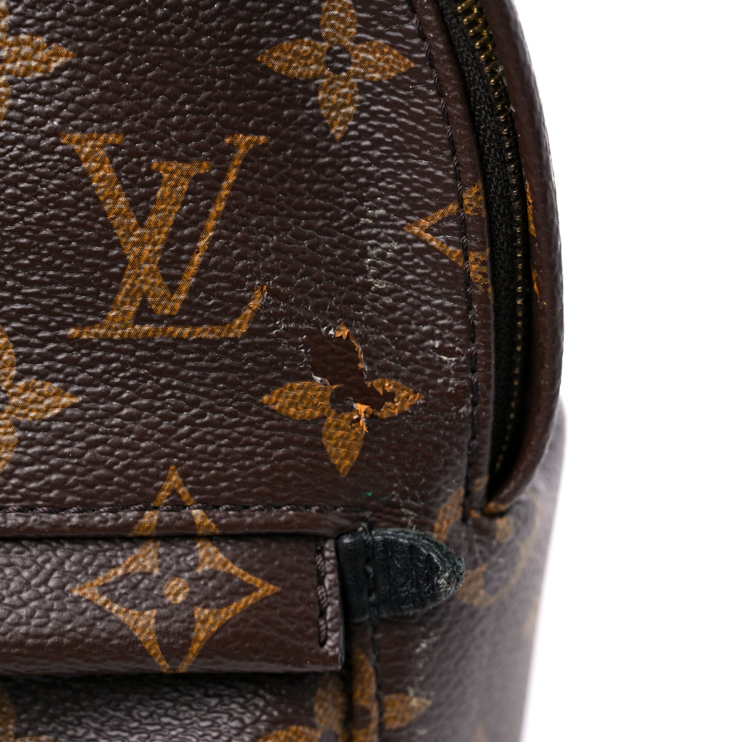 Monogram Palm Springs Backpack Mini