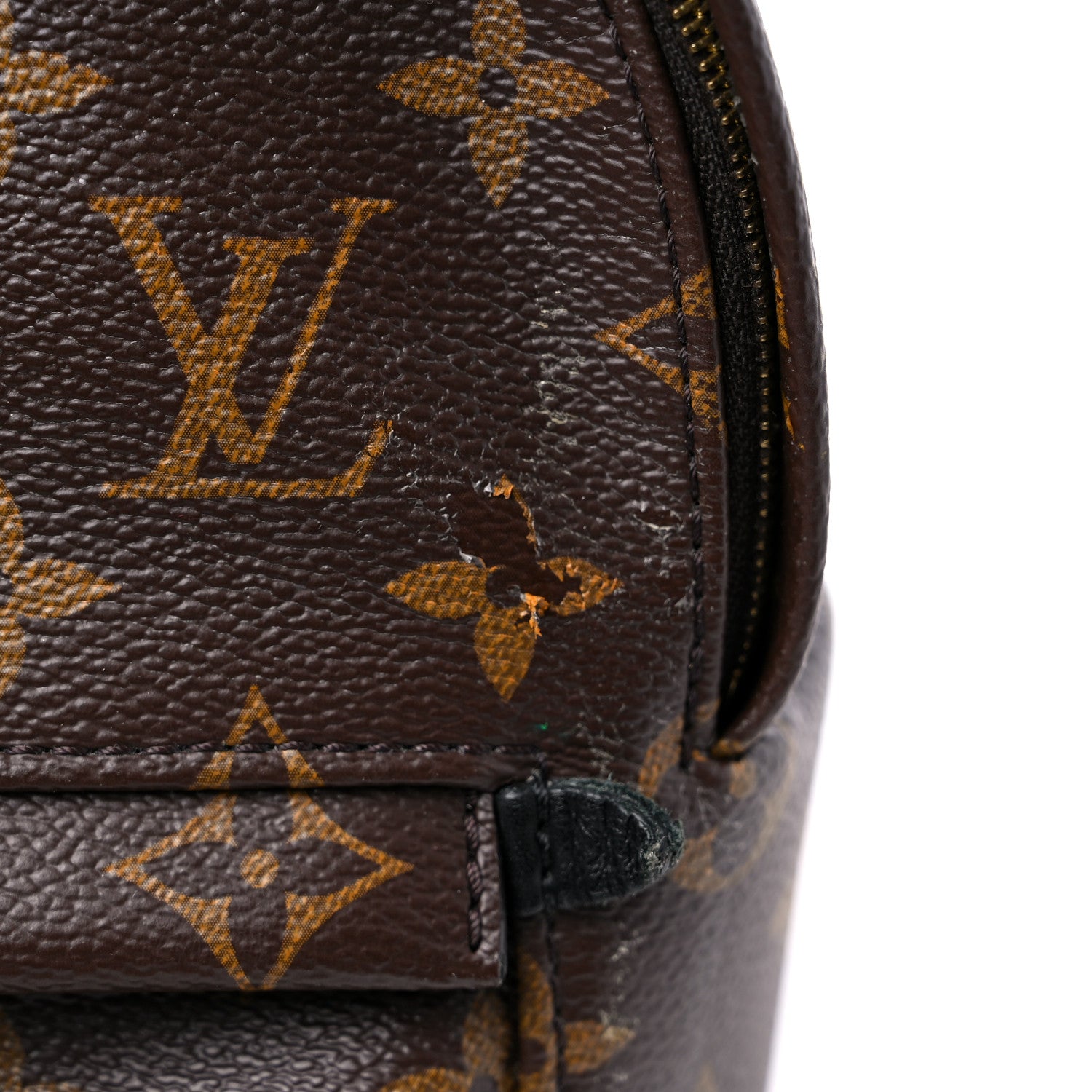 Louis Vuitton Monogram Palm Springs Backpack Mini 14 of 16