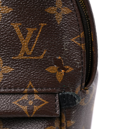 Louis Vuitton Monogram Palm Springs Backpack Mini 14 of 16