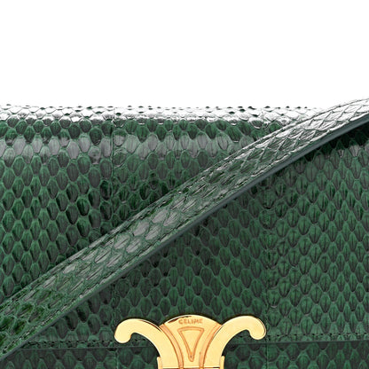 Celine Watersnake Teen Triomphe Green 8 of 14