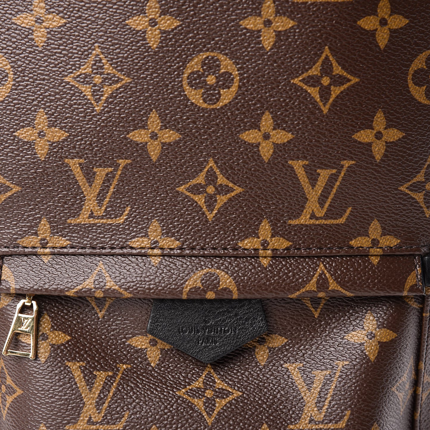 Monogram Palm Springs Backpack PM