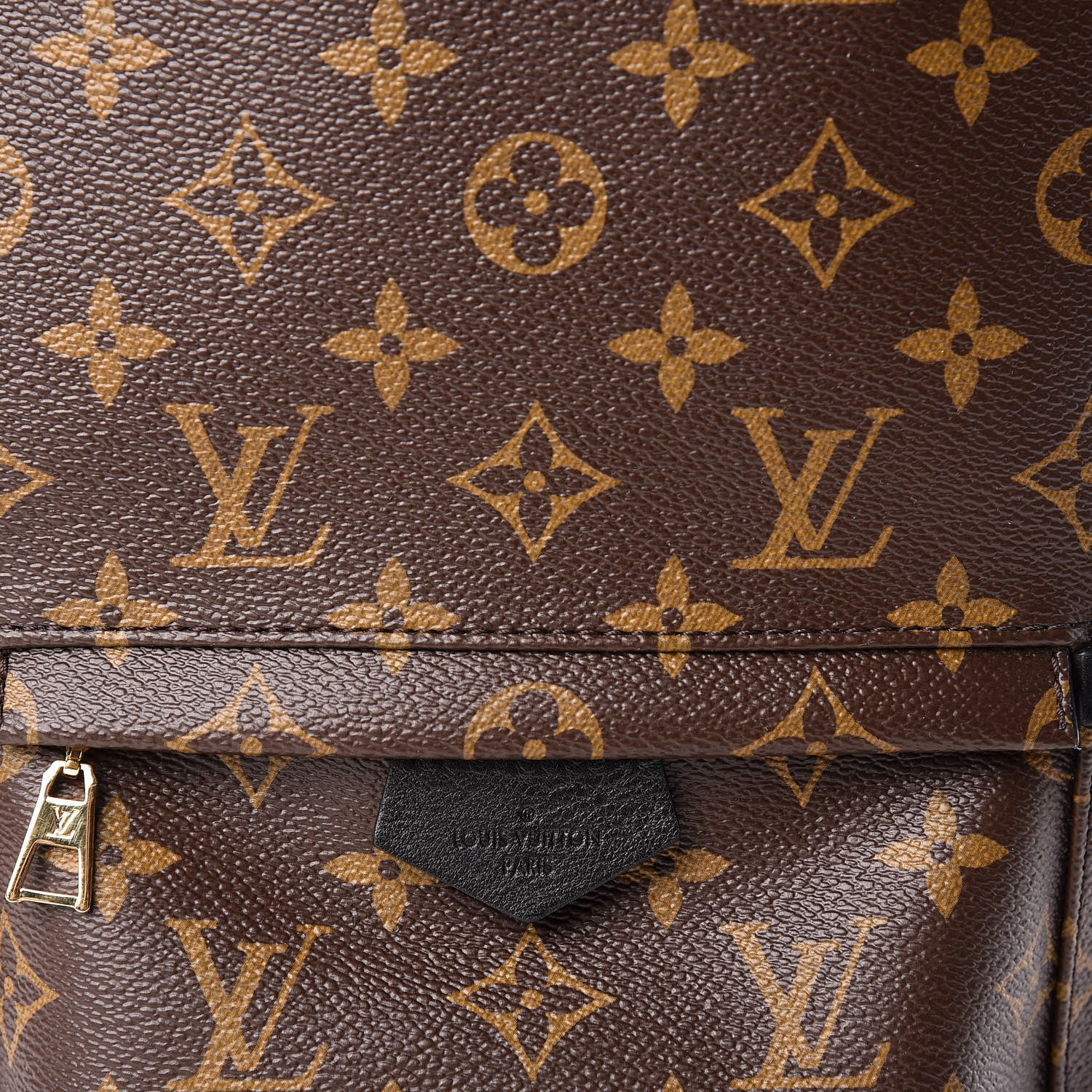 Louis Vuitton Monogram Palm Springs Backpack PM 9 of 12