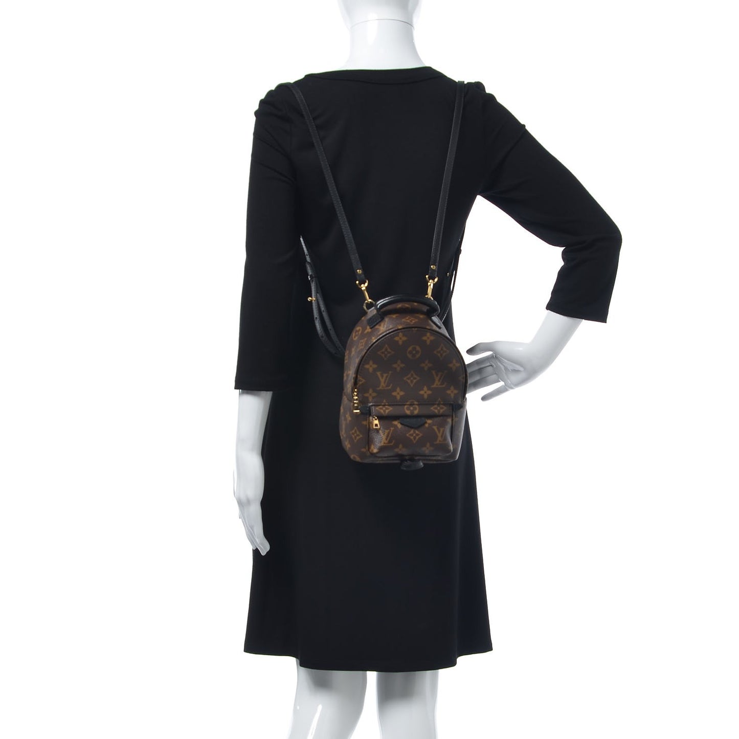Monogram Palm Springs Backpack Mini