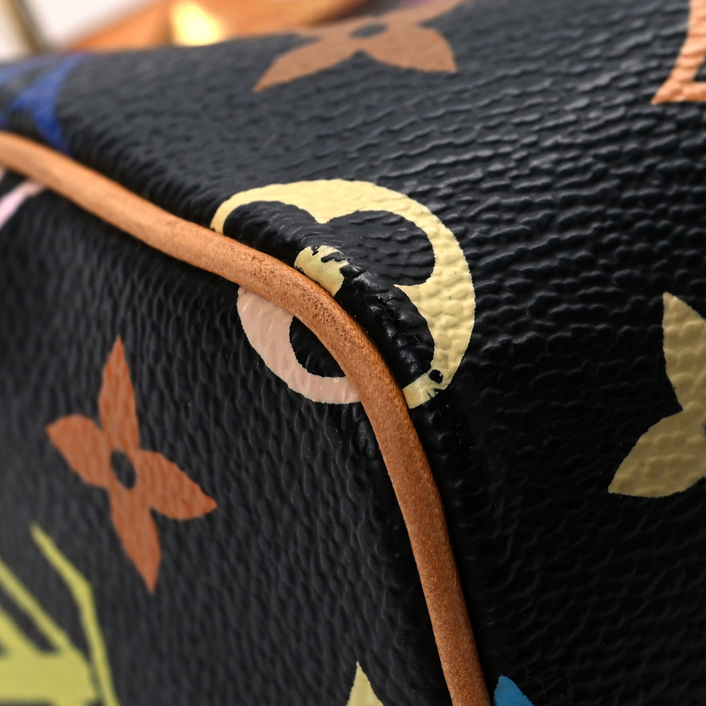 Monogram Multicolor Mini Sac HL Speedy Black