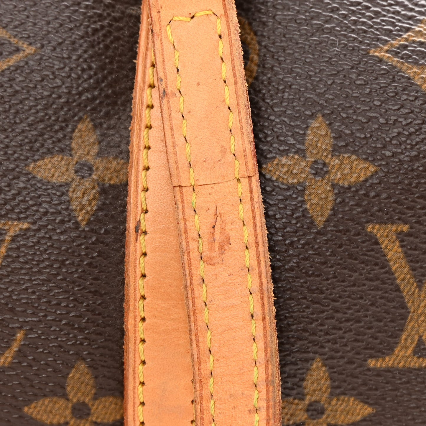 Monogram Papillon 30 with Companion