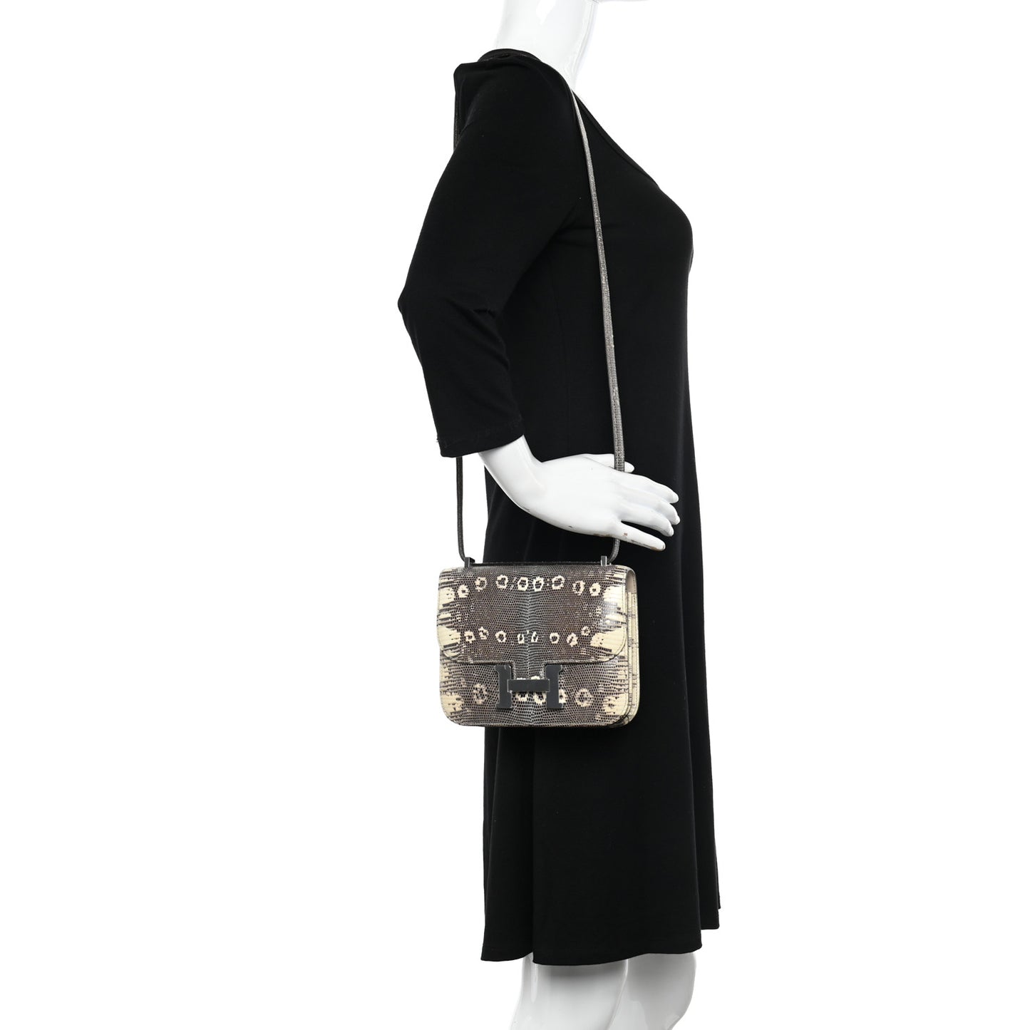 Lizard Constance 18 Ombre