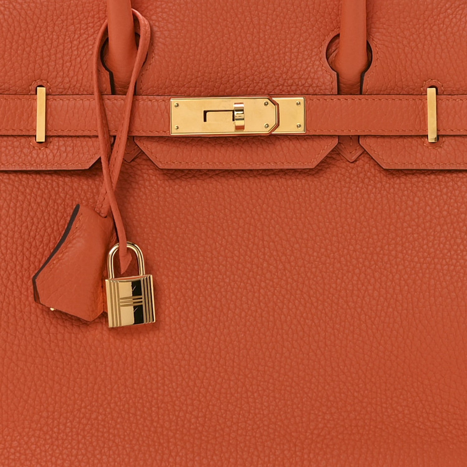 Hermes Taurillon Clemence Birkin 30 Feu 7 of 9