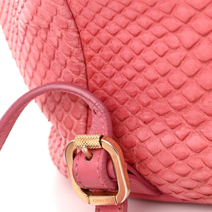 Chanel Snakeskin Backpack Light Pink 22 of 24