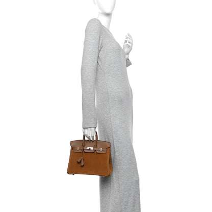 Hermes Veau Doblis Swift Grizzly Birkin 25 Alezan 3 of 21