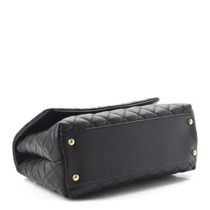 Chanel Caviar Lizard Quilted Small Coco Handle Flap Black 4 of 11