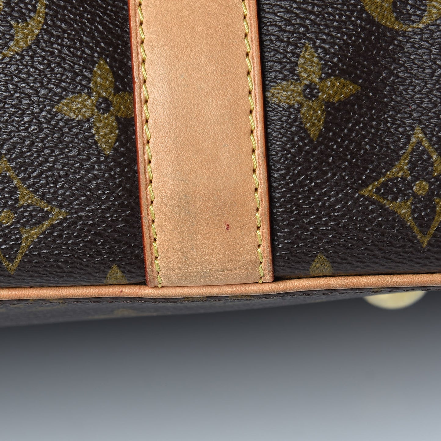 Monogram Salina MM Rubis